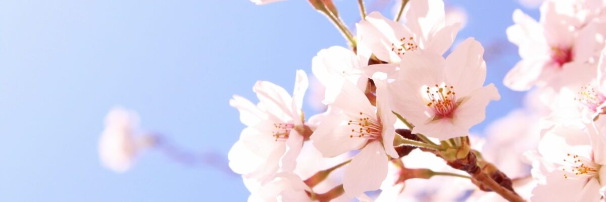 小説、テレビ信陽〜第15話「社長代行」