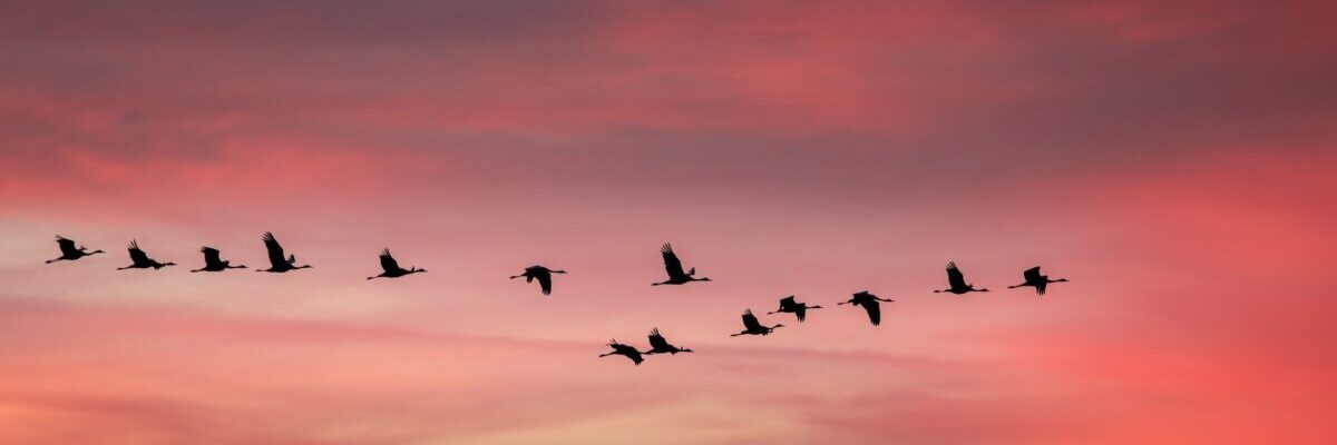 小説、テレビ信陽〜第19話「新地の外れの居酒屋」