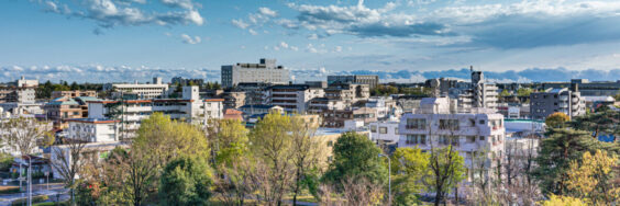 SYT森崎の苦悩〜テレビは確率分布メディアなのか